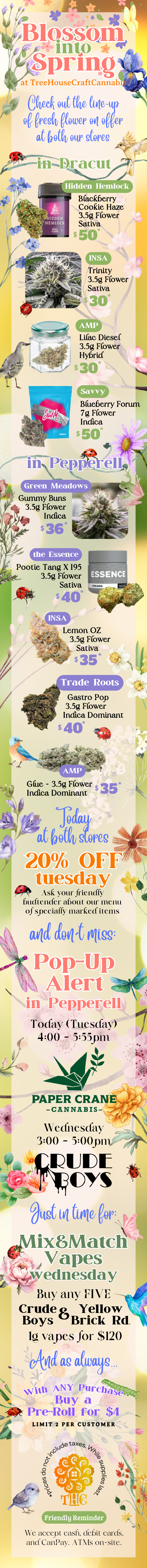 Treehouse deals and flower selection
