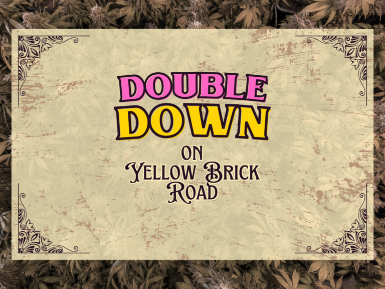 Yellow Brick Road deals