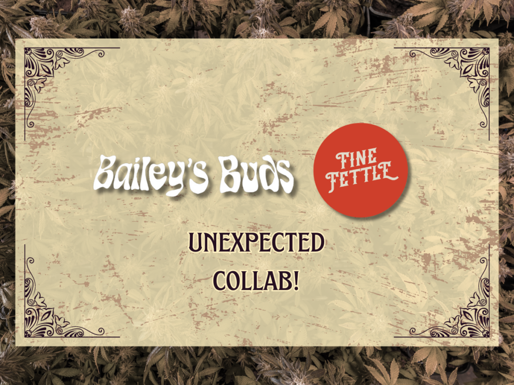 Fine Fettle and Bailey's Buds collab at Tree house