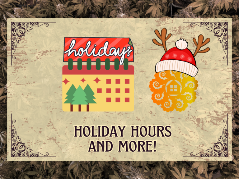 holiday hours at tree house